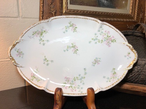 CH FIELD HAVILAND GDA Limoges 19" Plato Schleiger 381 Rosa y Azul Floral - Imagen 1 de 11