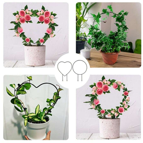 Metal Garden Trellis for Climbing Plants Extendable Iron Plant Support - Picture 8 of 8