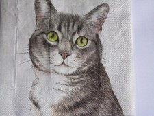 4  lose Servietten Farm Cat cream