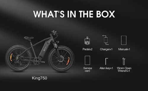 DYU K750 (2023) 26 pulgadas EBike 750W Fat Tire Mountain Electric Bike - Negro - Imagen 13 de 14