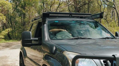 2 x Kings Plus Pocket Organiser| Vehicle Dash & Fridge Organiser|370GSM Canvas - Picture 4 of 7