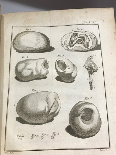 TOLL - GESCHICHTE DER KÖNIGLICHEN MEDIZINGESELLSCHAFT - 15 GRAVUREN - 1780