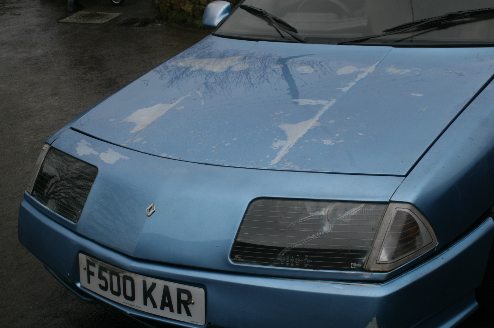 Picture 5 of 11