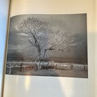 Picture 5 of 5
