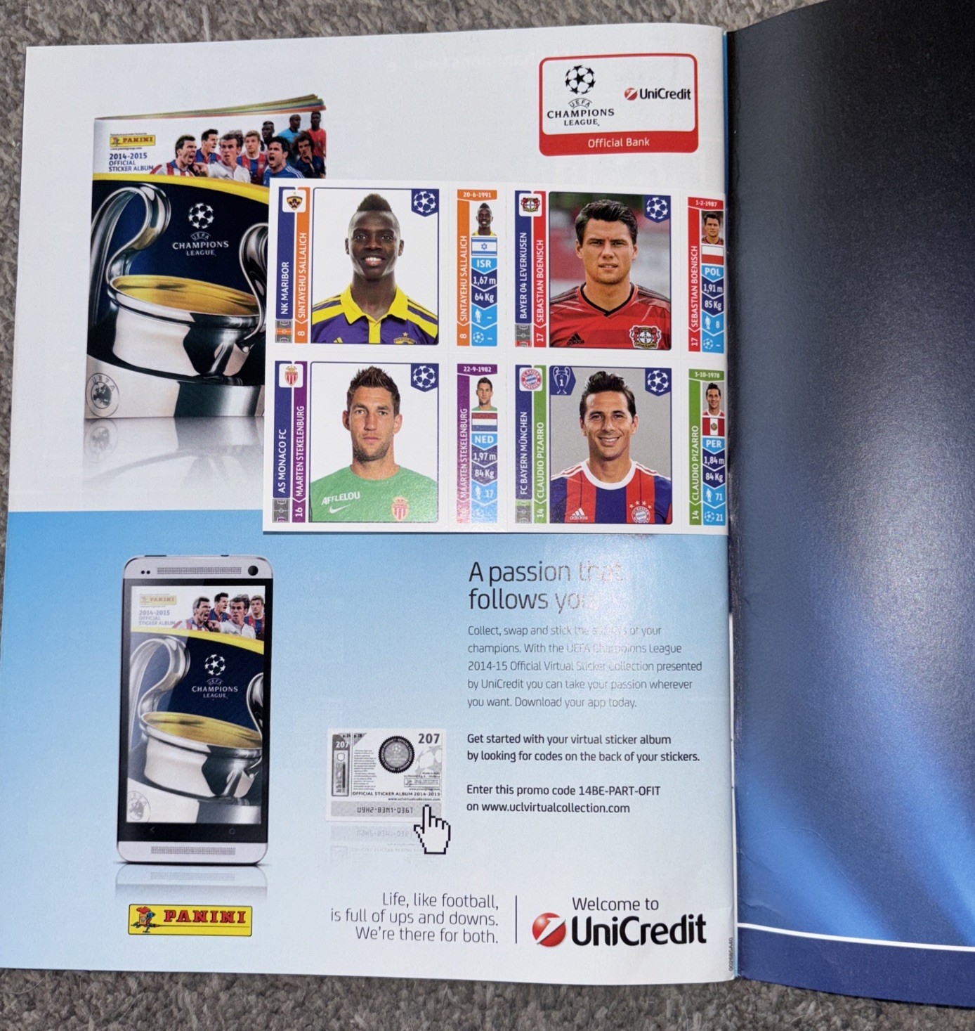 Bild 12 von 17