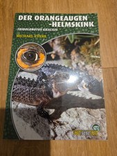 Der Orangenaugenhelmskink