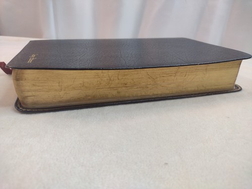 NASB New American Standard Bible Study Edition Holman Cowhide Leather Black - Foto 12 di 23