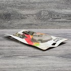 Bild 24 von 24