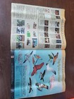 Foto 2 di 3