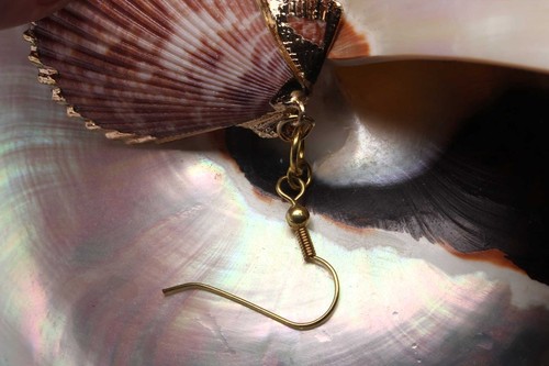Scallop Muschel Ohrringe Fan Shape with Shepherds Crook Gold 38mm - Picture 3 of 3