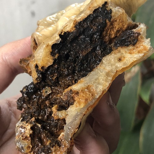 RARE!!106gr Amazing Stalactite Chalcedony From Indonesia - Picture 3 of 6