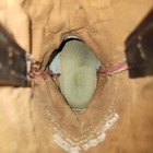 Foto 9 di 11