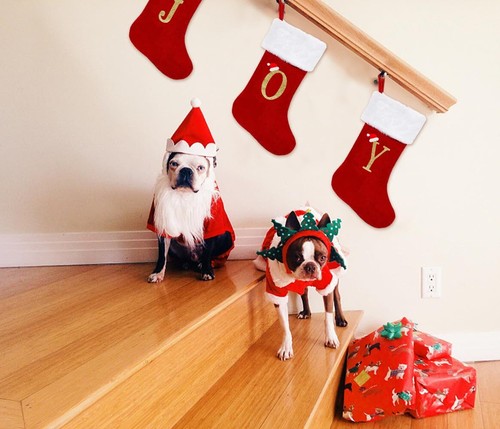 3 PCS CHRISTMAS STOCKINGS SET 18'' RED WHITE VELVET CHRISTMAS STOCKINGS HANGING  - Bild 4 von 5