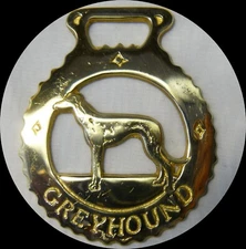 GREYHOUND   Horse brass  (N603)