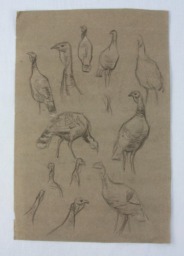 FARM animals Richard Henry BROCK original sketches on 10 sheets CAMBRIDGE artist - Picture 15 of 20