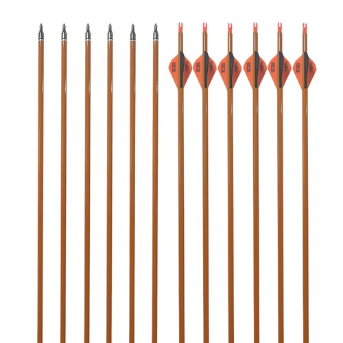 12pcs Archery 31" Carbon Arrows Spine 500 Recurvebow Compound Bow Hunting Arrow - Picture 2 of 6