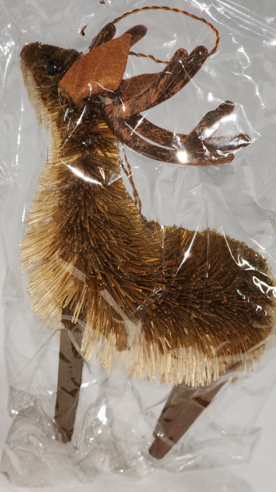 Picture 4 of 5