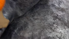 Video 1 von 1