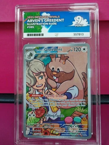 Pokemon TCG Arven's Greedent 205/182 - Destined Rivals - ACE 9 MINT