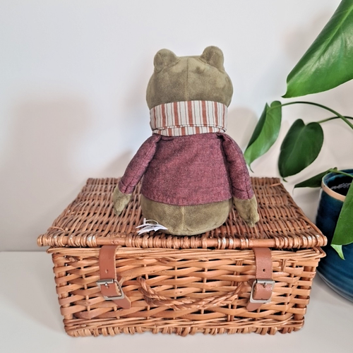 Jellycat Riverside Rambler Frog 13" – Jellycat Frog Plush Soft Toy Retired Rare - Picture 5 of 11