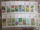 Japan Stamp First Day Cover FURUSATO Stamp 16 Covers (季節の花シリーズ) 2011～2013