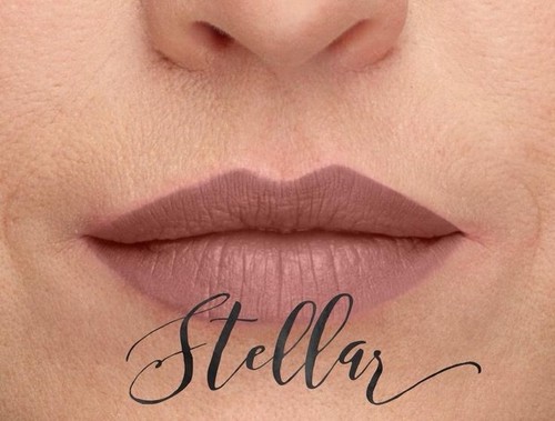 NEU Younique Moodstruck Splash flüssiger Lippenstift STELLAR (Beige Nude) nicht mehr im Karton - Bild 6 von 7