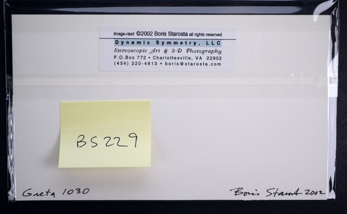 Boris Starosta 3D Stereoview - Greta 1030 - nude model signed 2002 #229 - Picture 2 of 2