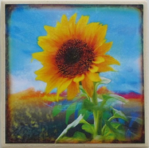 Bild 4 von 6