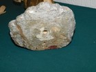 Bild 10 von 10