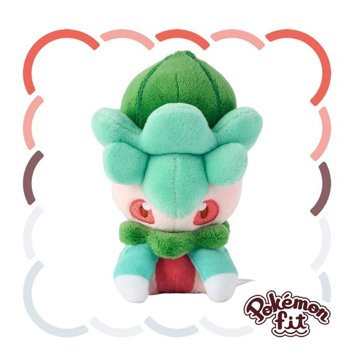 Pokemon fit Alola Region Sun Moon Plush Pokemon Center Original Japan May Gift - Picture 228 of 471
