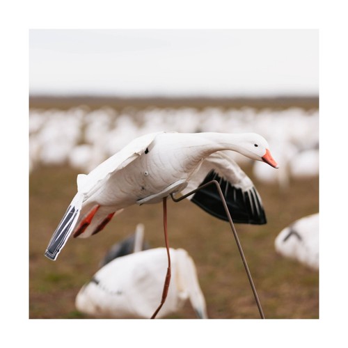 Higdon Outdoors Clone Snow Goose Flapping Motion Decoy with Adjustable Wing S... - Picture 6 of 8