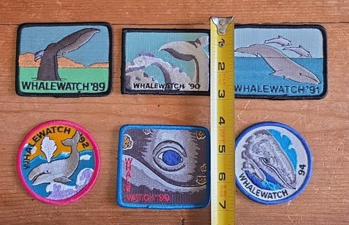 6 Whale Watching 1989,90,91,92,94,99 Souvenir Embroidered Patches Badges Iron On - Picture 3 of 4