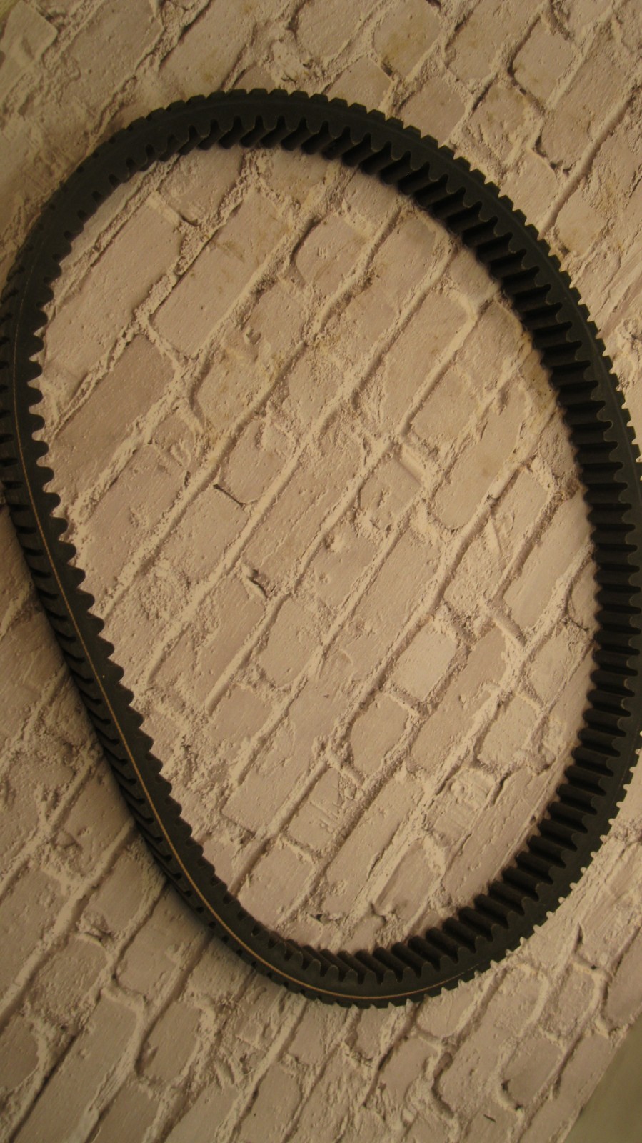 Picture 5 of 6