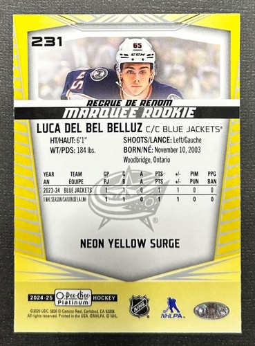 2024-25 OPC Platinum Rookies & Vets Base Parallels and Inserts (You Pick List) - Bild 185 von 345
