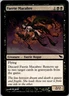 MTG Magic The Gathering Faerie Macabre Shadowmoor Played See Scan