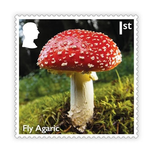 GB Mushrooms set 10 MNH 2025 after July 15 - Picture 10 of 11