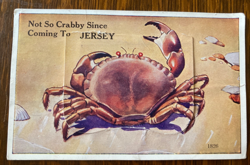 JERSEY, CHANNEL ISLANDS Vintage 1962 VALENTINES NOVELTY FOLD-OUT Photo Post Card - Picture 2 of 3