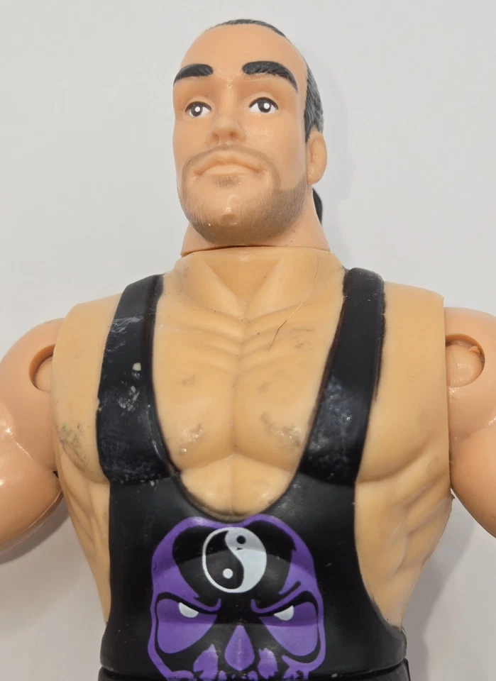 ROB VAN DAM FIGURE ECW THRILL ZONE SERIES WRESTLING COLLECTIBLE RARE TNA WWE RVD - Image 4 of 4