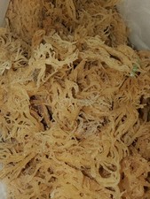 Sea Moss Wild Harvest Whole Leaf 1oz. / Raw St. Vincent & The Grenadines