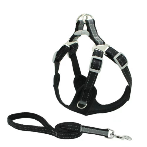 US Reflektierende Hundeweste Geschirr Leine Halsband Set ohne Zug verstellbar für XXS-L - Bild 23 von 30
