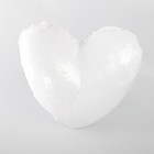 Bild 13 von 24