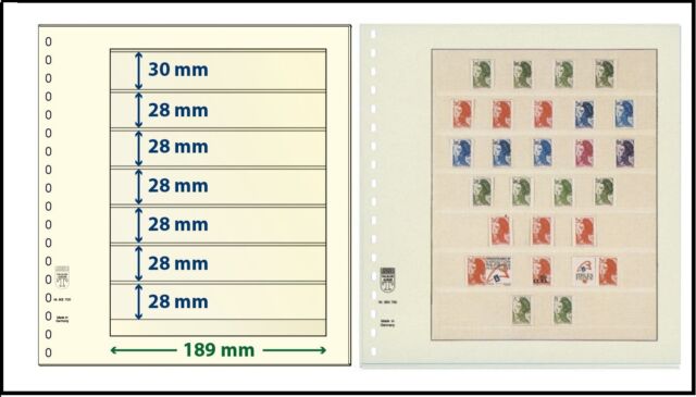 1 LINDNER 802700 T-Blanko-Blätter Blankoblätter 7x 1x30 / 6x28 x 189mm 1 LINDNER 802700 T-Blanko-Blätter Blankoblätter 7x 1x30 / 6x28 x 189mm