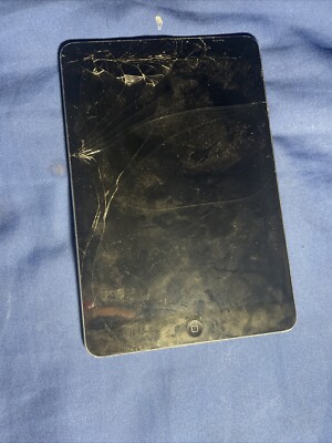 Apple iPad mini 1st Gen. 64GB, Wi-Fi, 7.9in - Black & Slate