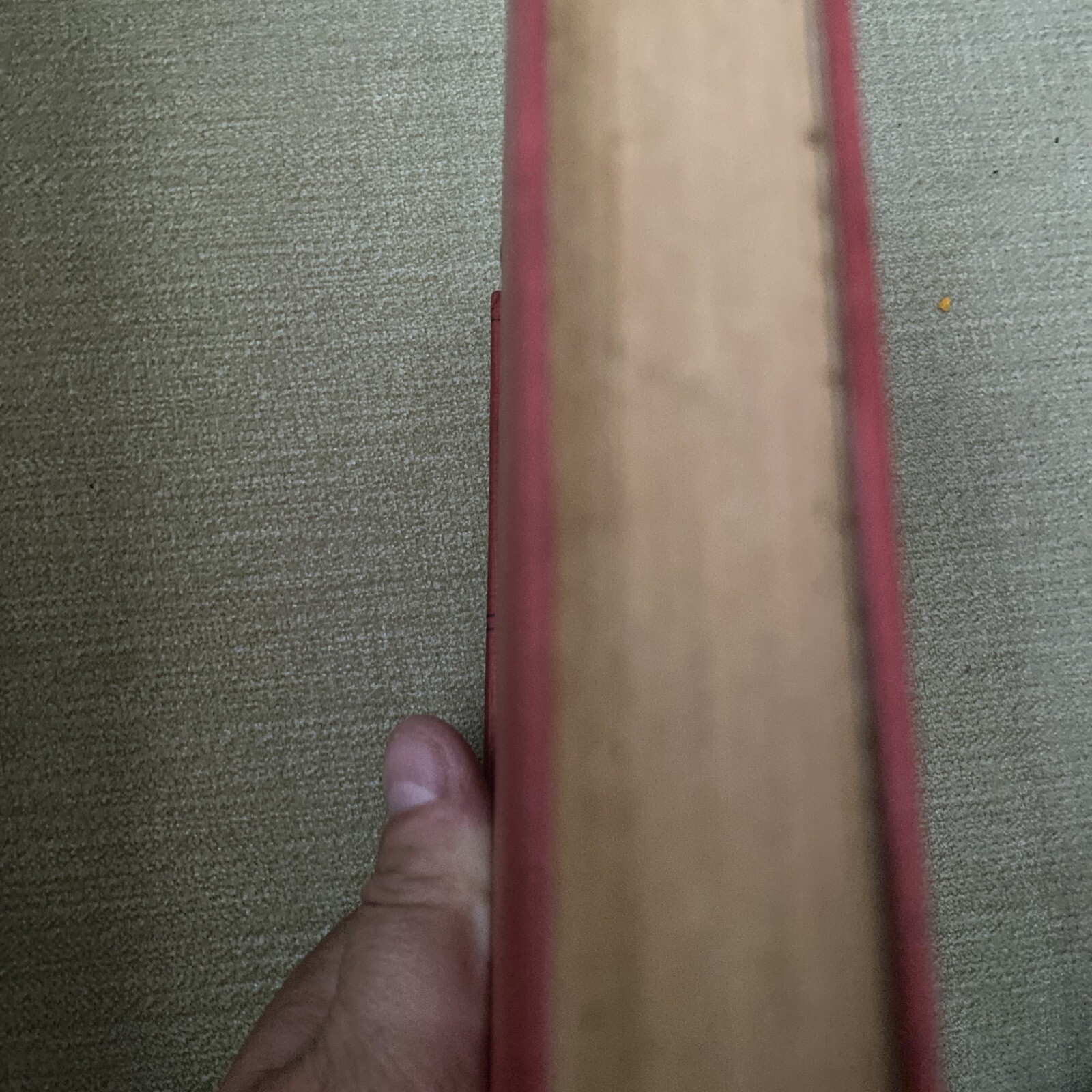 Picture 8 of 8