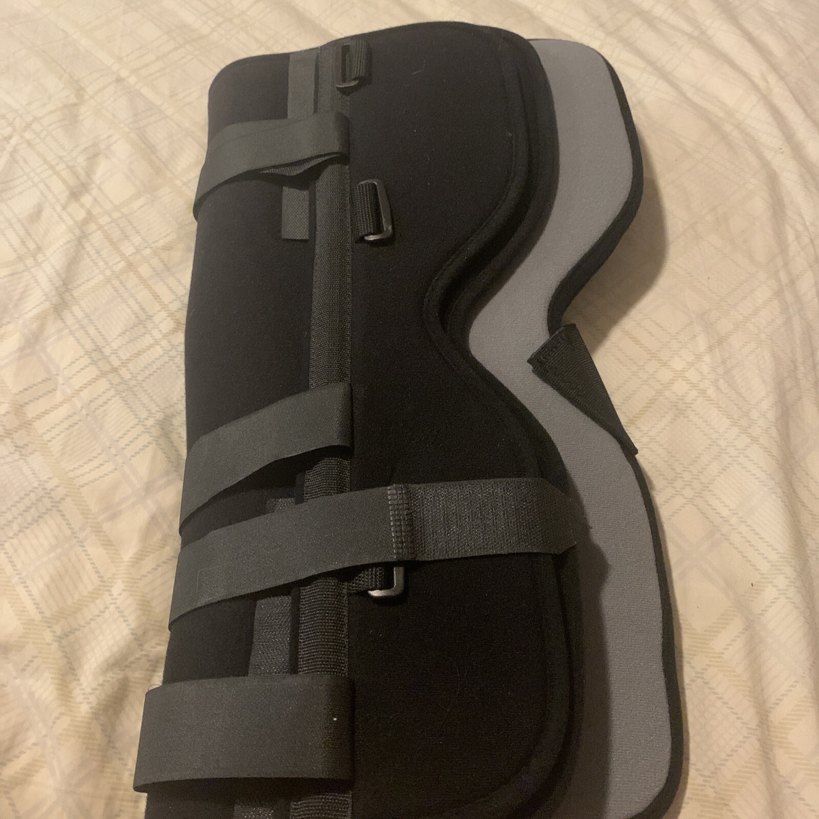 Picture 5 of 5