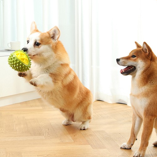 Dog for Health Teeth Durianshaped Dog Teething with Effect Chew Toy