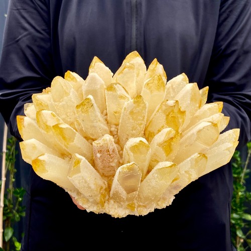 8.1LB New Find Yellow Phantom Quartz Crystal Cluster Mineral Specimen Healing - 第 10/13 張圖片