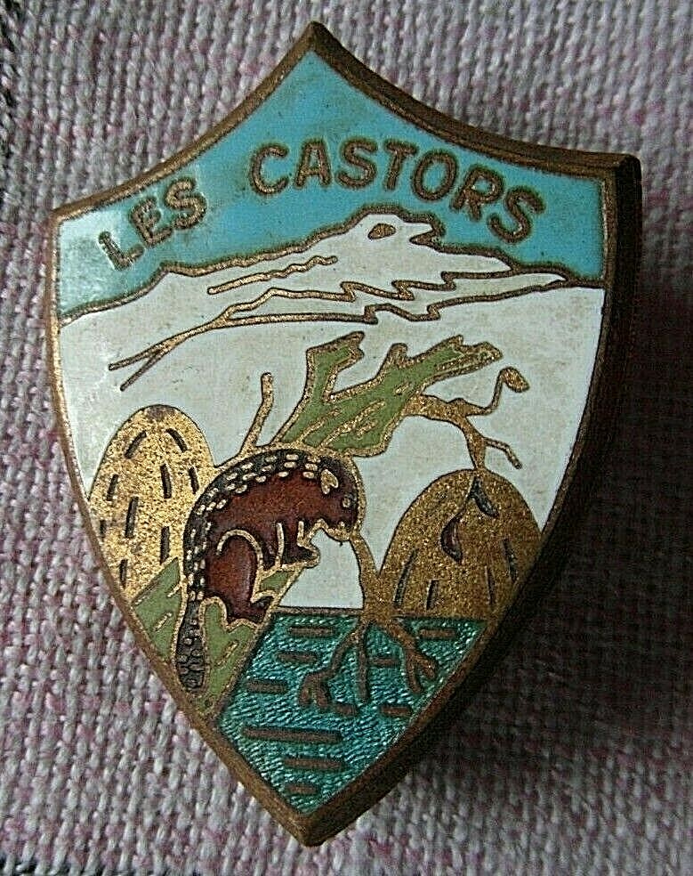 Insigne Broche Ancienne émaillée – Blason Avec Marquage S R, Occasion Vintage