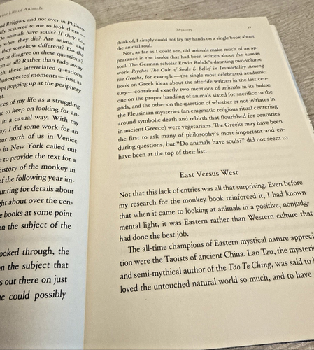 Divine Life of Animals : One Man's Quest to Discover Whether the Souls of... - Picture 5 of 7