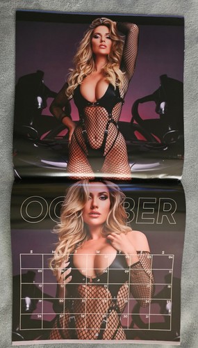 PAIGE SPIRANAC Firmato 2025 Pinup Calendario PSA/DNA Garanzia Auto - FUMO CALDO!! - Foto 8 di 10